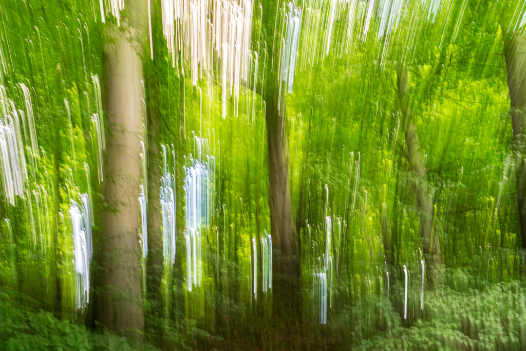 Abstrakcyjna fotografia ICM zielonego lasu z pionowym ruchem aparatu – ZakJar Fine Art Photography