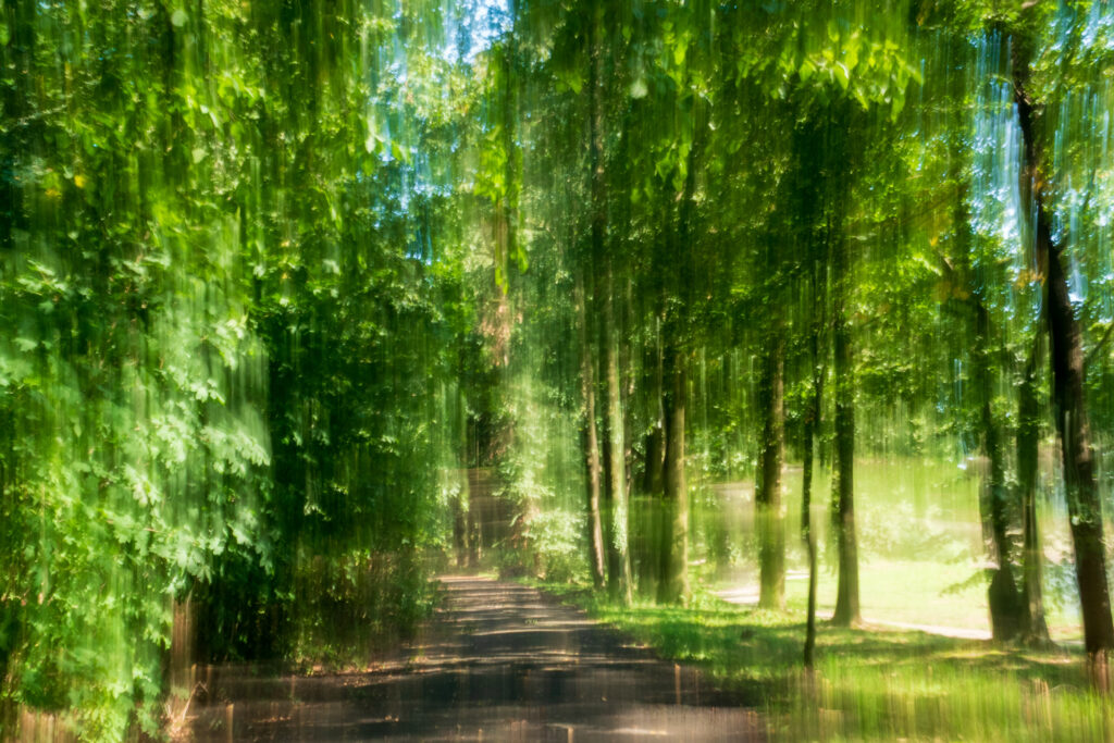 Abstrakcyjna fotografia ICM przedstawiająca leśną ścieżkę i pionowy rytm drzew – ZakJar Fine Art Photography